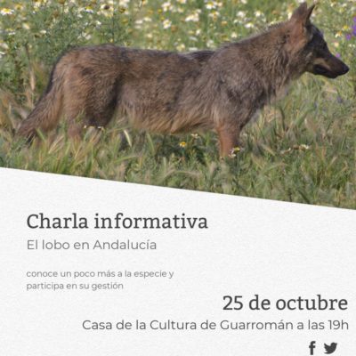 Cartel charla Guarromán