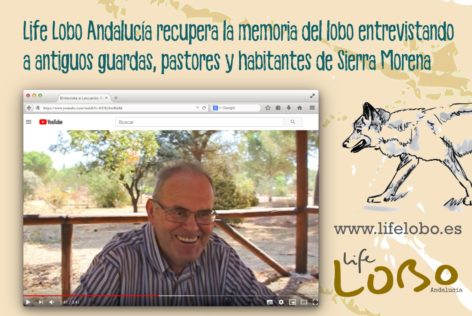 entrevistas para Life Lobo Andalucía